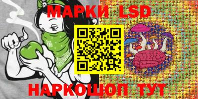 гашик Краснознаменск