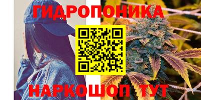 стафф Коммунар