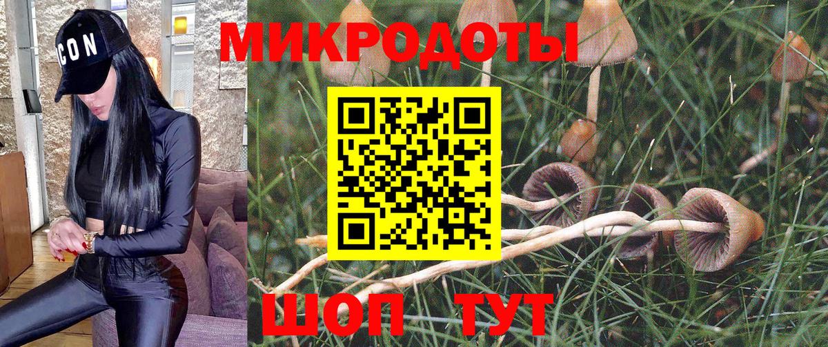 Кисловодск  Галлюциногенные грибы ЛСД  Вход с VPN 