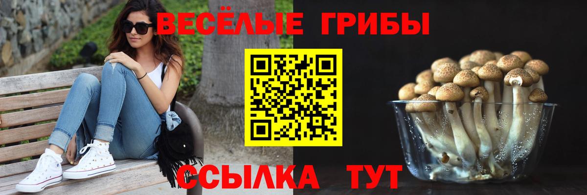 Псилоцибиновые грибы мухоморы Кисловодск