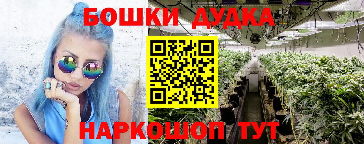 Бошки Шишки план Кисловодск